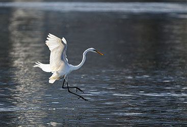 從30人到夫妻精品店， 我的亞馬遜經(jīng)歷了什么？